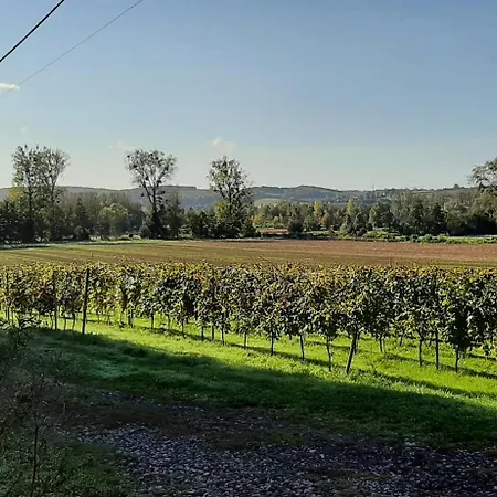 Le Clos Saint Martin *