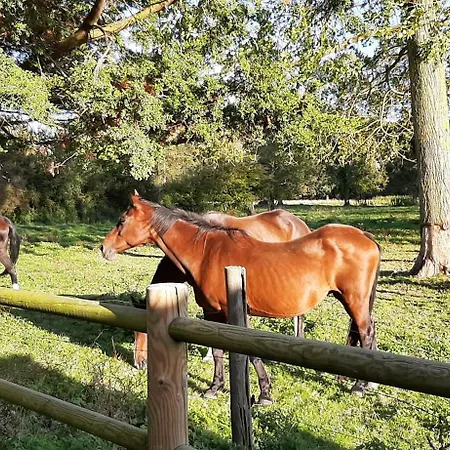 Le Clos Saint Martin *