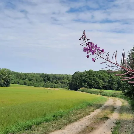 Le Clos Saint Martin Cavron-Saint-Martin