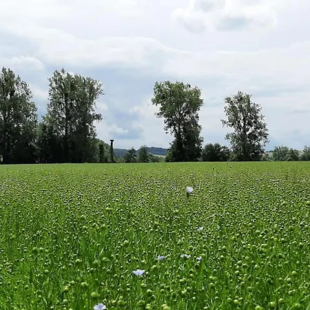 Le Clos Saint Martin Holiday home Cavron-Saint-Martin