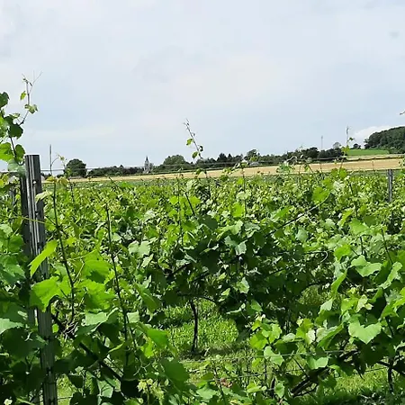Holiday home Le Clos Saint Martin *