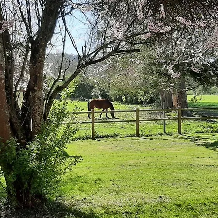 Le Clos Saint Martin Holiday home Cavron-Saint-Martin