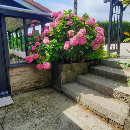 Le Clos Saint Martin Holiday home *