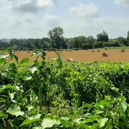 Holiday home Le Clos Saint Martin Cavron-Saint-Martin