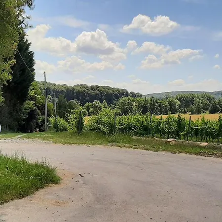 Le Clos Saint Martin *