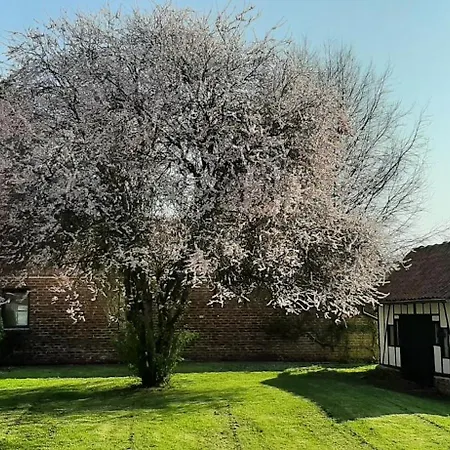 Holiday home Le Clos Saint Martin *